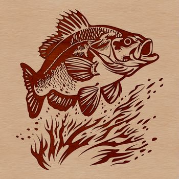 An illustration of a small freshwater fish, commonly found in North American lakes and rivers.