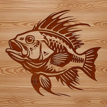 A detailed illustration of a Crappie fish, suitable for various digital designs.
