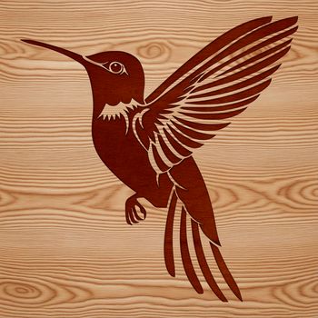 A vibrant illustration of a hummingbird in flight, featuring intricate details and smooth lines.