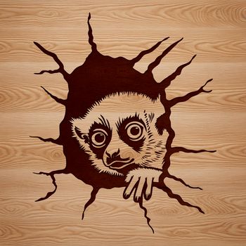 A lemur's head with facial features and fur texture, suitable for vector design projects.