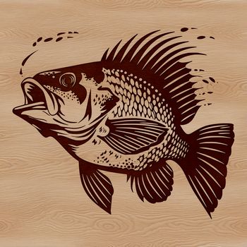A detailed illustration of a crappie fish with intricate details.