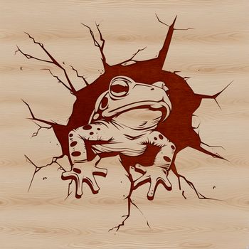 Illustration of a toad peeking out from behind a wall, rendered as vector art.