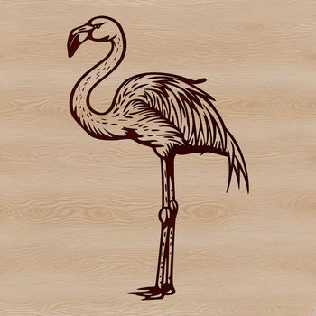A single flamingo standing in a shallow water body with its long neck and legs visible.