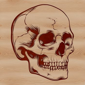 Witchcraft icon featuring a gothic skull and mystical symbols in vector art style