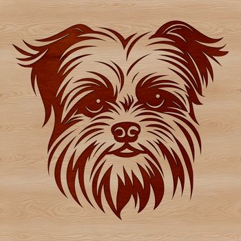 A detailed illustration of the head and face of a small Yorkshire terrier dog breed.