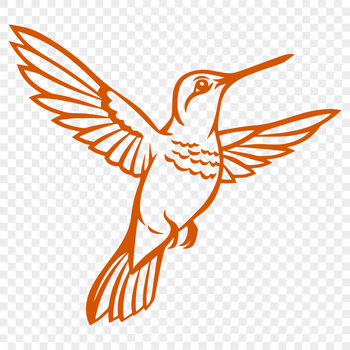 A colorful hummingbird in mid-flight, captured as a vector illustration.