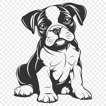 A full-body illustration of a sitting Boxer dog in vector format.