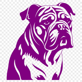 Close-up vector illustration of a bulldog's head, suitable for graphic design projects.