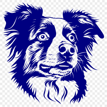 A high-resolution illustration of a Australian Shepherd dog breed's head.