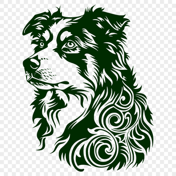 A high-quality SVG vector image of a close-up shot of an Australian Shepherd's head.