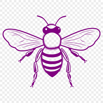 A detailed illustration of a bee in full body form.