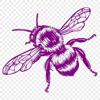 A detailed illustration of a full-body bee insect in mid-air, suitable for gardening designs.