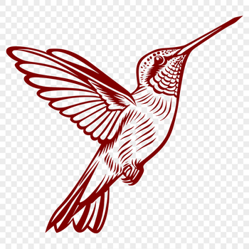 Free Flying Hummingbird - DXF