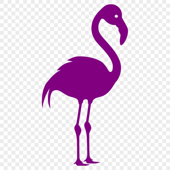 A single Flamingo standing on one leg in a naturalistic pose.