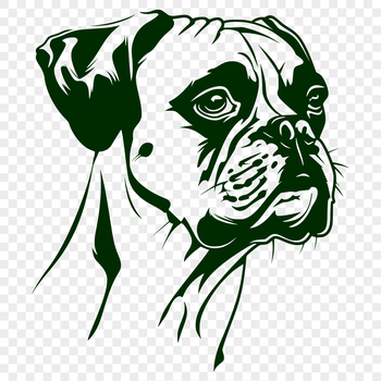 A detailed illustration of a Boxer's head and face, suitable for vector art or clip art designs.