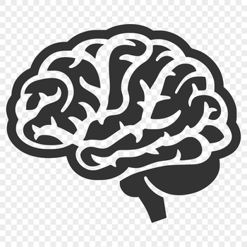 A detailed illustration of the human brain's anatomy, suitable for vector design and cutting machine stencils.