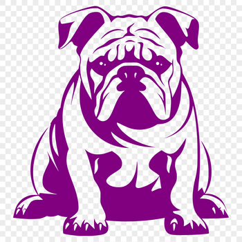 An illustration of a bulldog in full body pose, sitting comfortably on the floor.