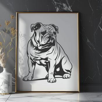 A sitting Bulldog in full body pose.