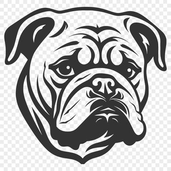 A detailed illustration of a bulldog's head with prominent wrinkles and folds.