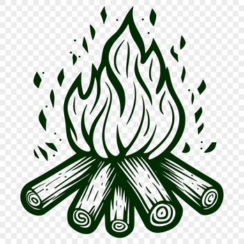 An open camp fire with flames burning in the outdoors.