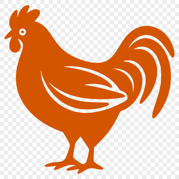 A detailed illustration of a chicken in full body view, suitable for vector design.