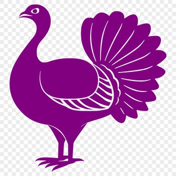 A detailed illustration of a turkey from the front, showcasing its full body and feathers.