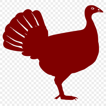 Beautiful Turkey Clipart