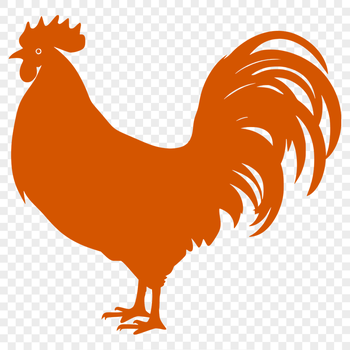 Unique Rooster Artwork