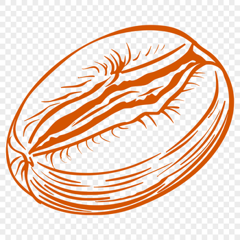 A stylized illustration of a coffee bean in a vector format.