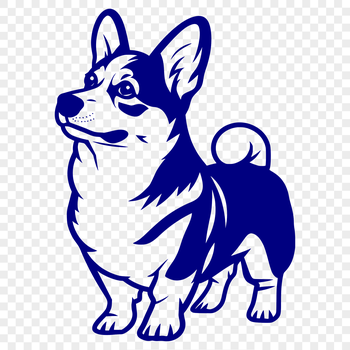 A full-body illustration of a standing corgi dog, suitable for vector art designs.