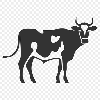 A high-quality illustration of a full-body cow in a realistic style.