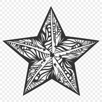A stylized star graphic designed as a vector illustration, suitable for various digital and printing applications.