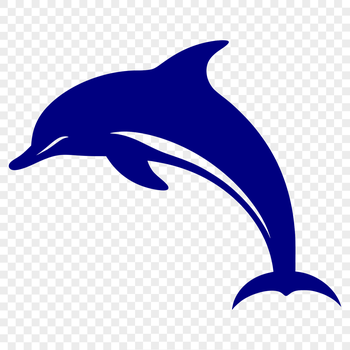 A detailed illustration of a dolphin in full body view.
