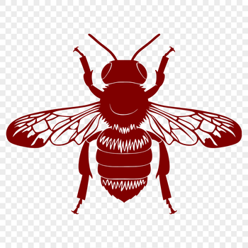 A detailed illustration of a bee's full body, including its wings and legs.