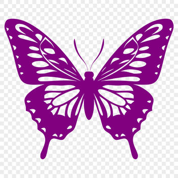 A colorful insect with distinctive wings and antennae in a full-body illustration style.