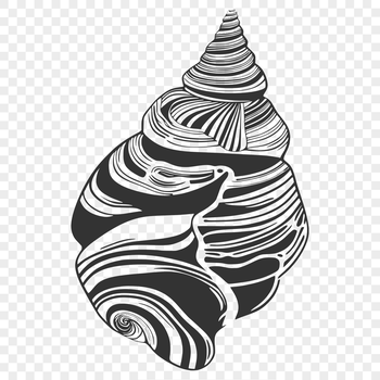 Decorative seashell design vector graphic used for various crafting projects and digital applications.