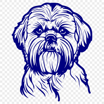 A close-up illustration of a Shih Tzu's head, showcasing its distinctive features.