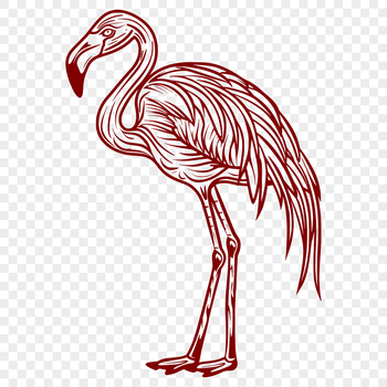 A colorful illustration of a full-bodied bird with distinctive pink feathers and long neck.