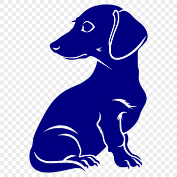 A full-body illustration of a sitting Dachshund breed dog.