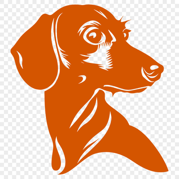 A portrait of a Dachshund's head with distinctive features and markings.