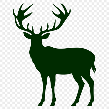 A detailed silhouette of a deer in full body view, suitable for vector art and design.