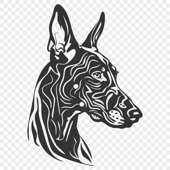A high-quality illustration of a Doberman Pinscher's head.