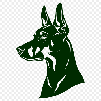 A detailed vector illustration of a Doberman Pinscher's head, suitable for commercial or personal design projects.