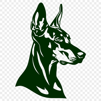 An SVG file containing a detailed digital representation of a Doberman Pinscher's anatomy.