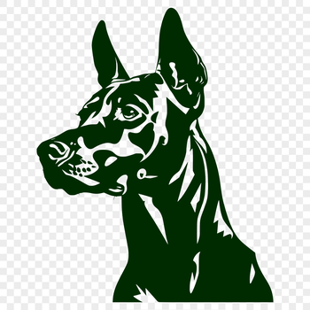 A detailed illustration of a Doberman Pinscher's head, created as a vector graphic for digital and cutting machine use.
