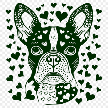 A cute Boston Terrier breed dog with heart graphics around its head, suitable for various design projects.