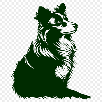 A high-quality vector image of an Australian Shepherd in full body pose.