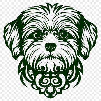 Close-up illustration of a small Havanese dog's head with ornate details.