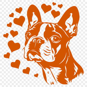 Boston Terrier vector clip art with love hearts on its head.