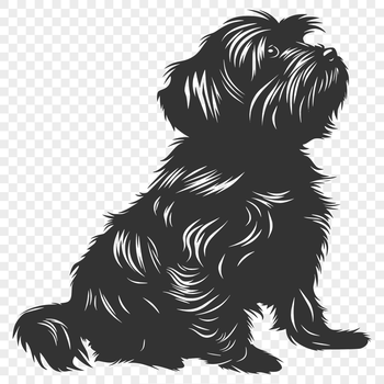 Close-up illustration of a sitting Havanese dog breed from the side with full body proportions.